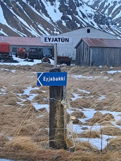 Nylegur Sumarbustathur/Frithsaeld モスフェットルスバイル エクステリア 写真
